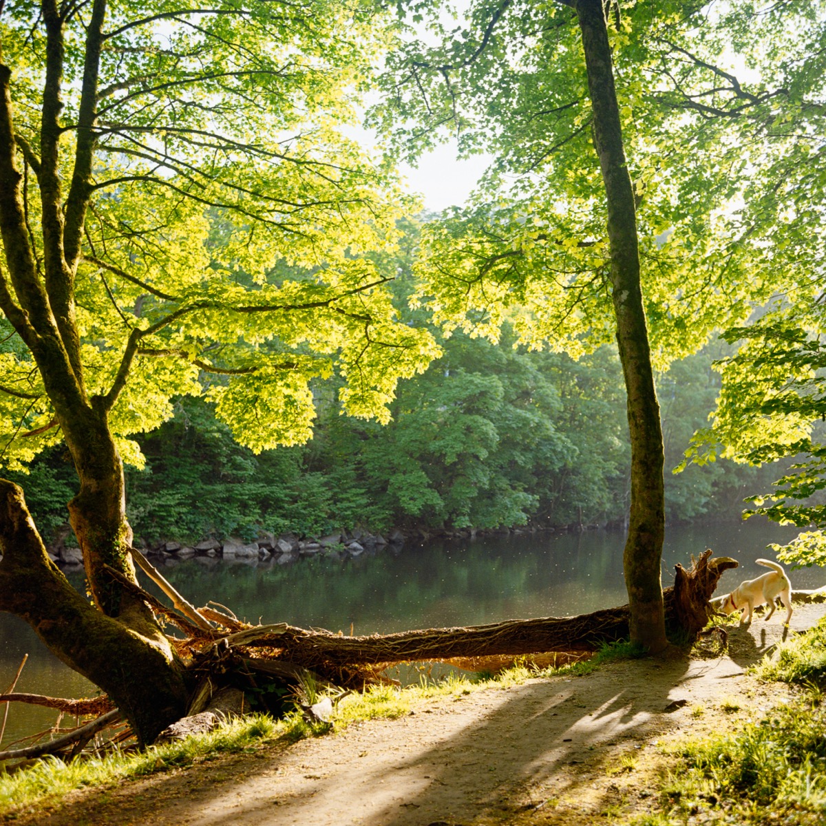 Colour photography from a commission in South Wales