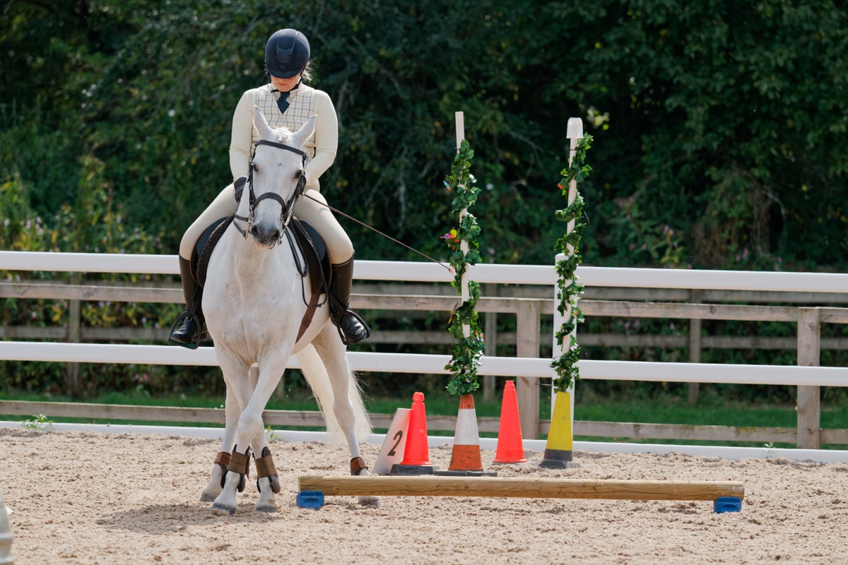 Dressage horse and rider in the arena