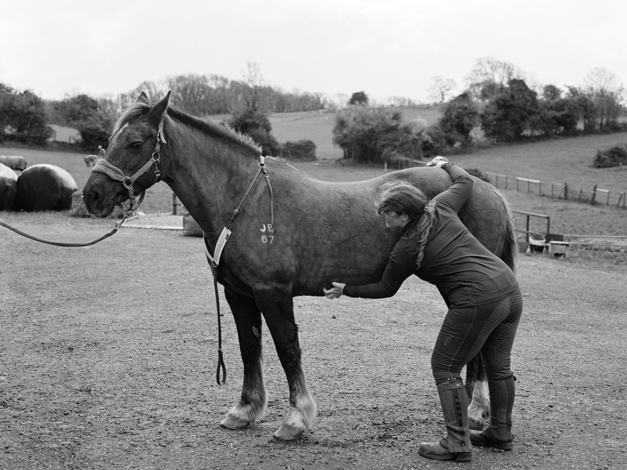 Horse and rider at a show jumping event, South Wales
