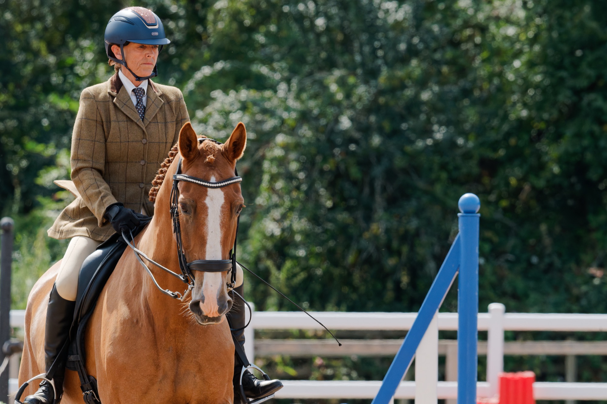 Horse and rider clearing a jump at a local show