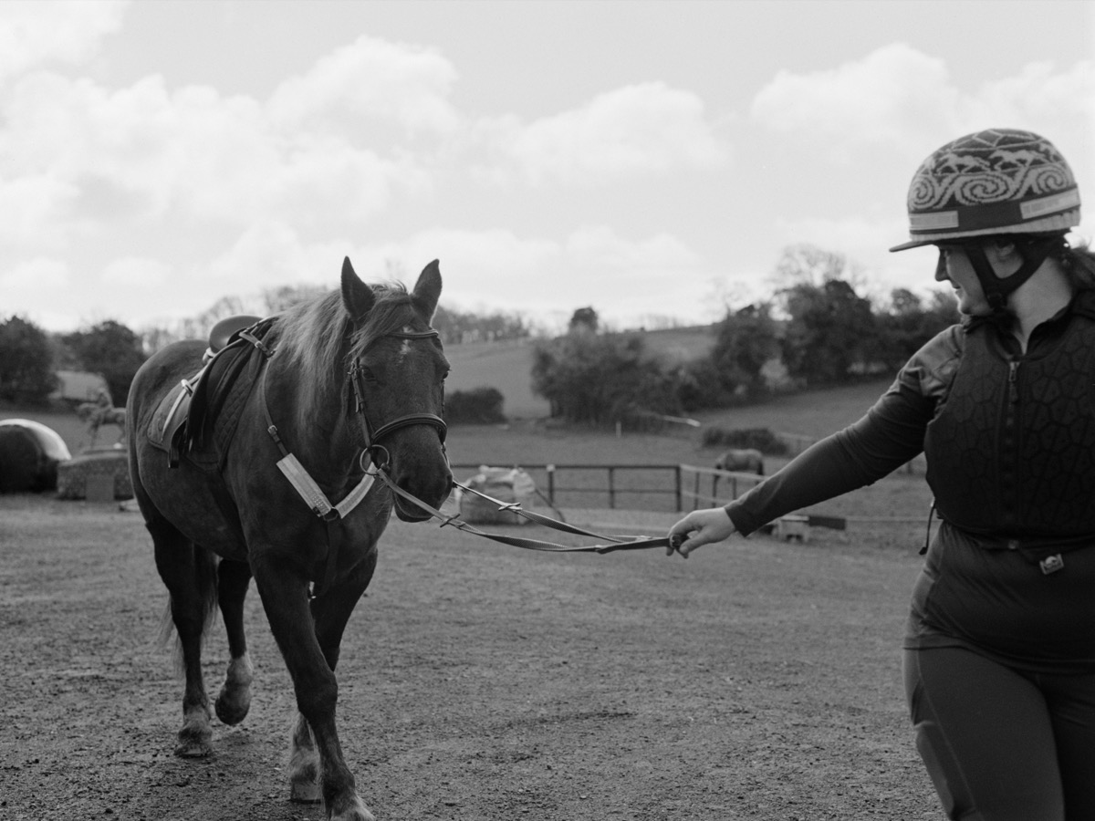 Rider with horse in evening light
